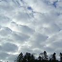 nuage stratocumulus